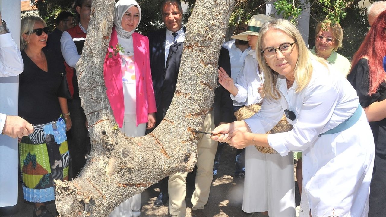 İzmir'de Damla Sakızı Üretimi Artıyor