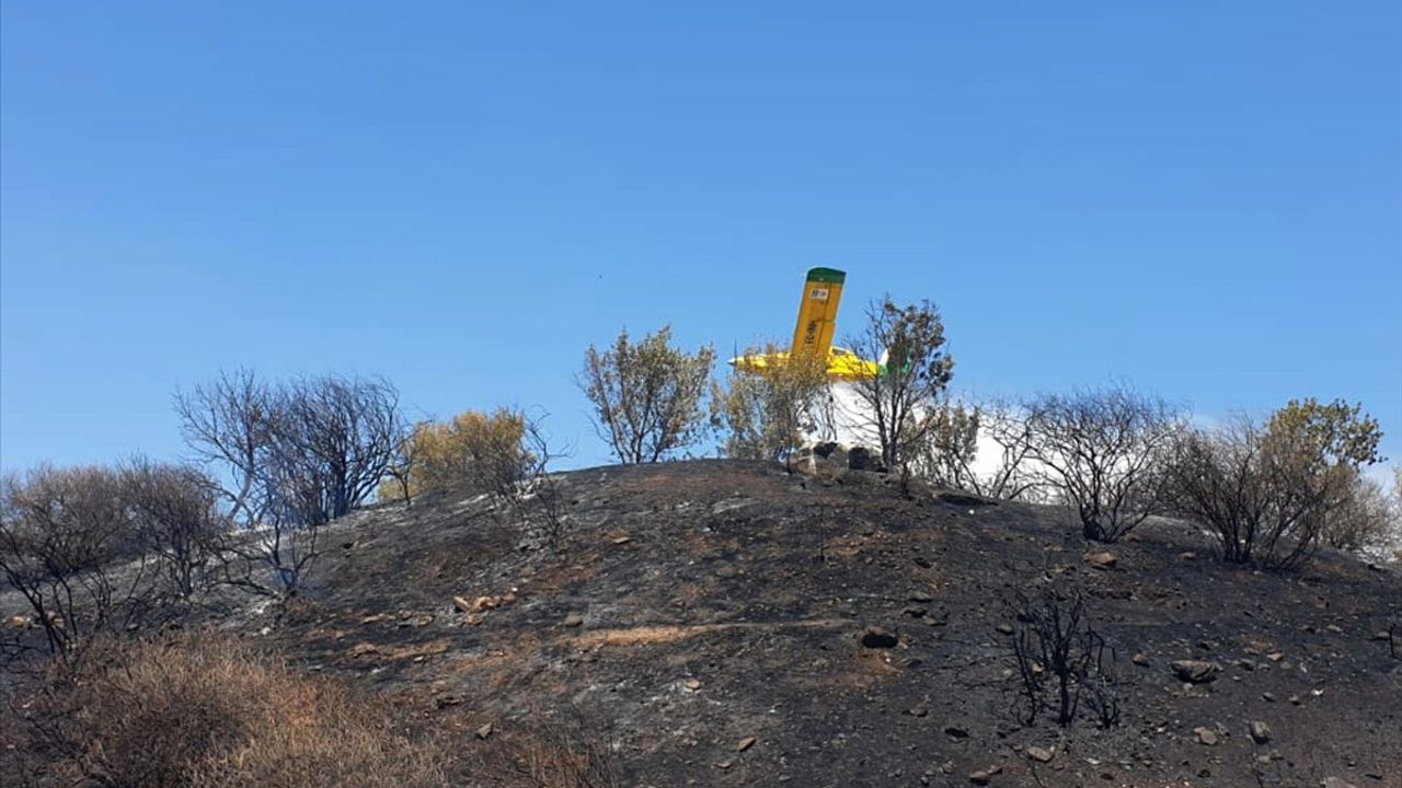 İzmir'de Efes Antik Kenti Civarında Yangın Kontrol Altına Alındı