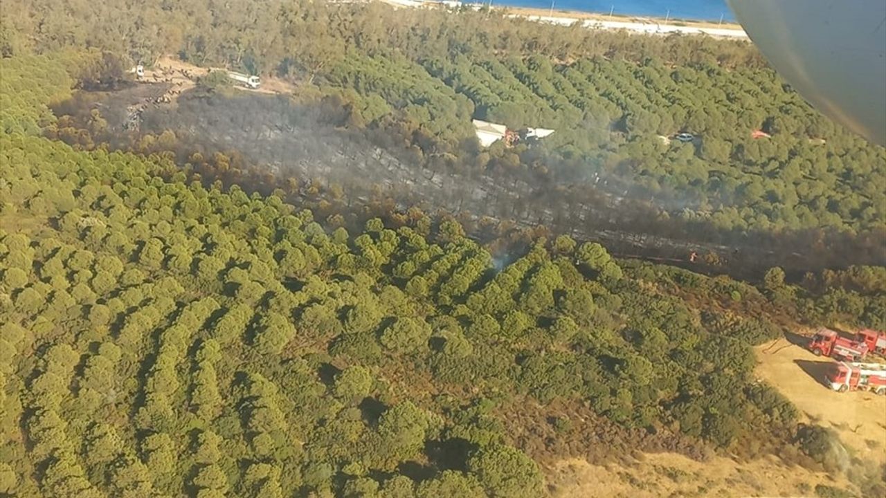 İzmir'de Orman Yangını Kontrol Altına Alındı