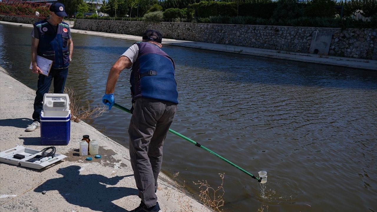 İzmir Körfezi'nde Balık Ölümleri İçin Yoğun Denetim ve Temizlik Çalışmaları