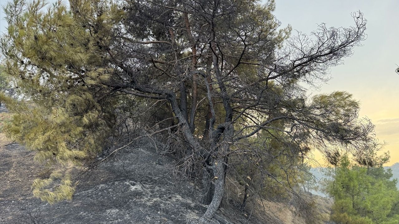 Kahramanmaraş'taki Orman Yangınında Mücadele Devam Ediyor