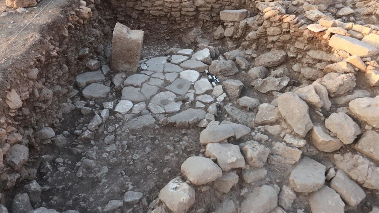 Karahantepe'de Nadir Yaban Eşeği Figürü Bulundu