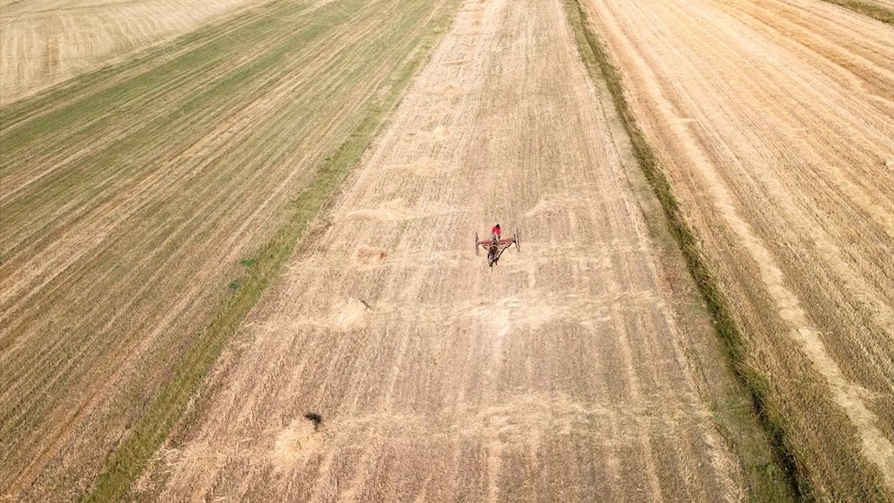 Kars'ta İşlenmeyen Tarım Arazileri Çiftçilere Kiralanacak