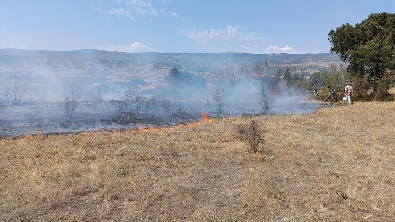 Kastamonu'da Anız Yangını Kontrol Altına Alındı