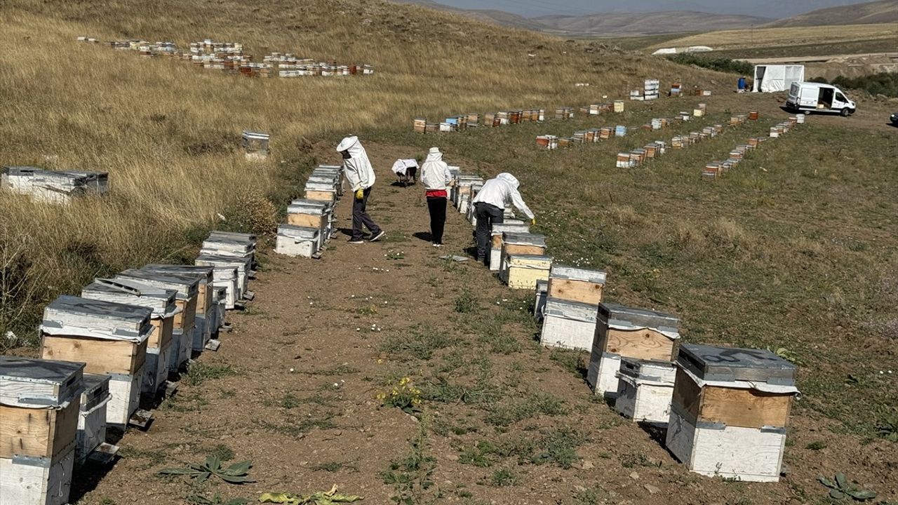 Kızılay'ın Şifa Dağıtan Arı Projesi