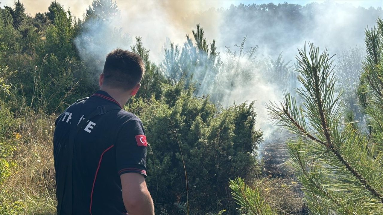 Kütahya'da Orman Yangınına Hızla Müdahale Ediliyor