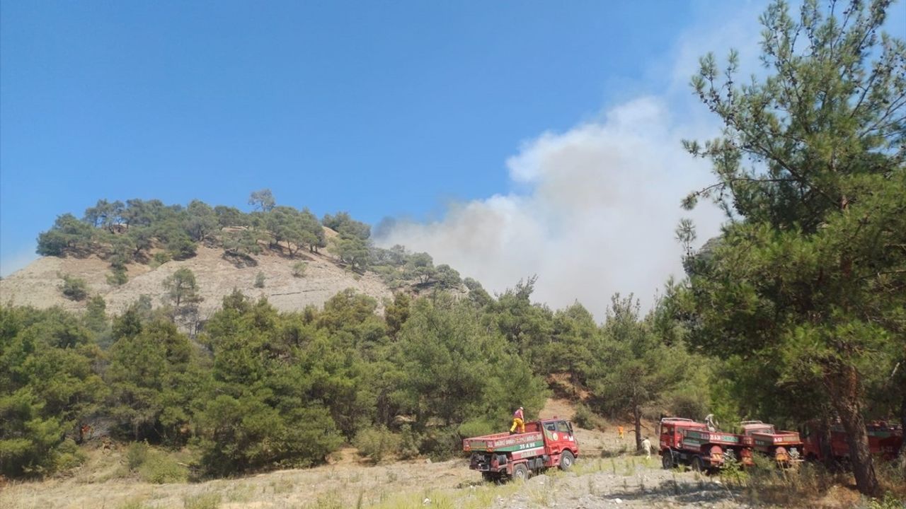 Manisa Salihli'de Orman Yangınına Hızlı Müdahale