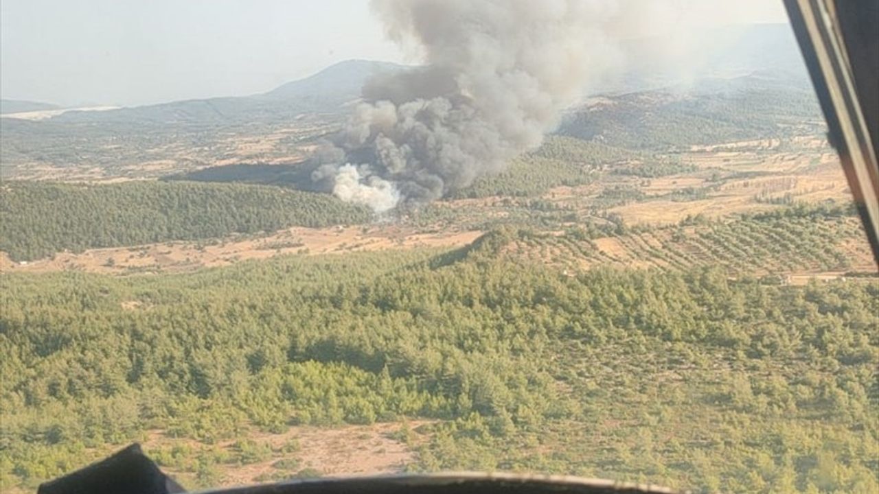 Milas'ta Orman Yangınına Hızla Müdahale Ediliyor