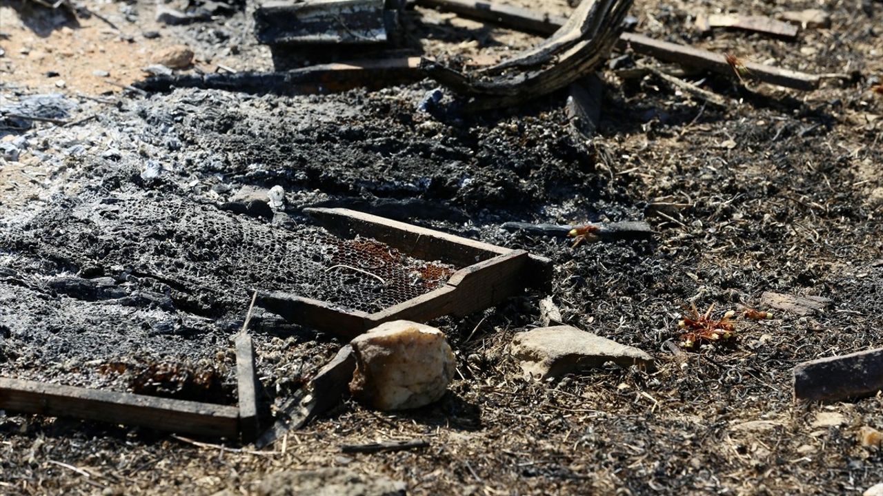 Muğla'da Orman Yangını: Baba ve Oğul Tutuklandı