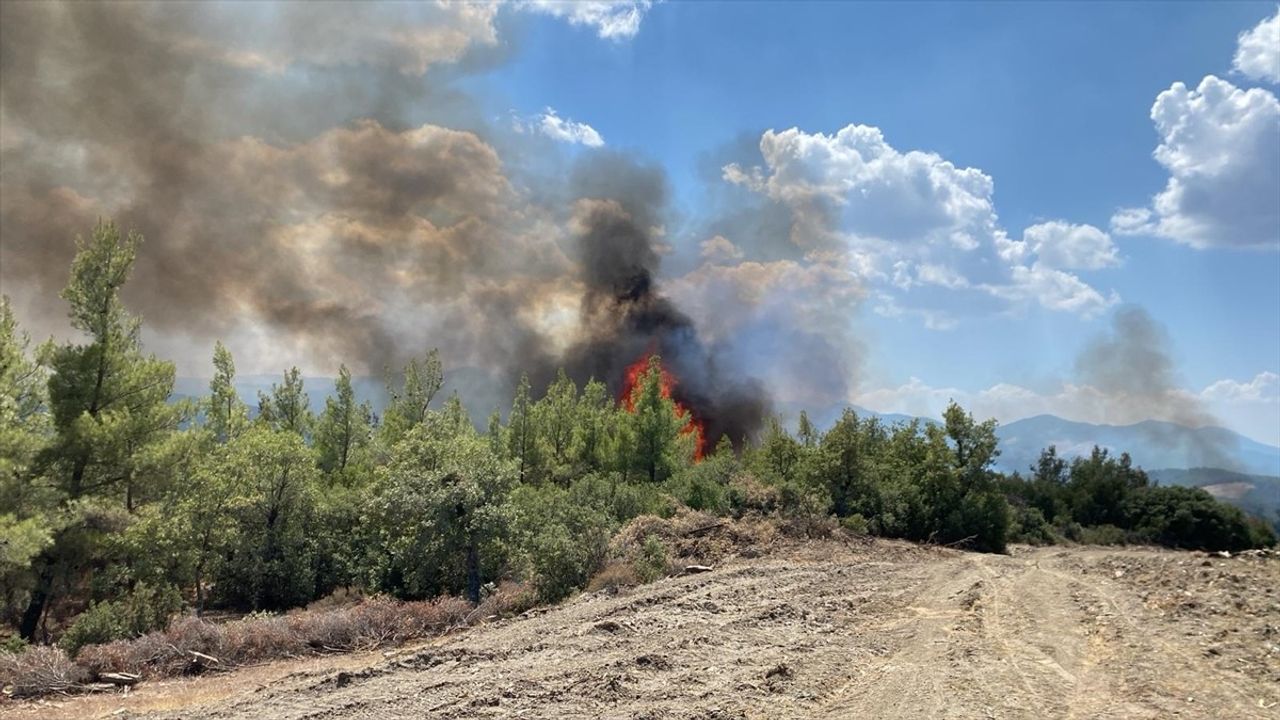 Muğla'daki Orman Yangını Kontrol Altına Alındı