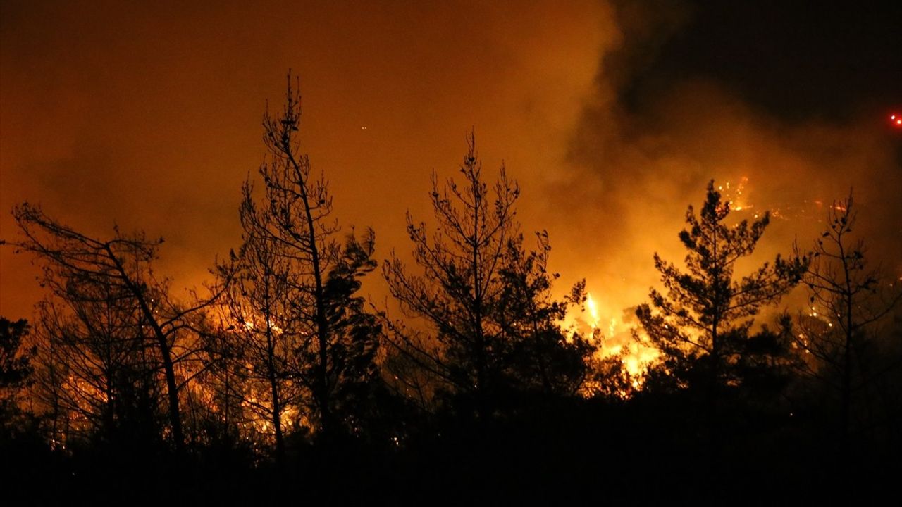 Muğla Milas'taki Orman Yangınında Mücadele Devam Ediyor