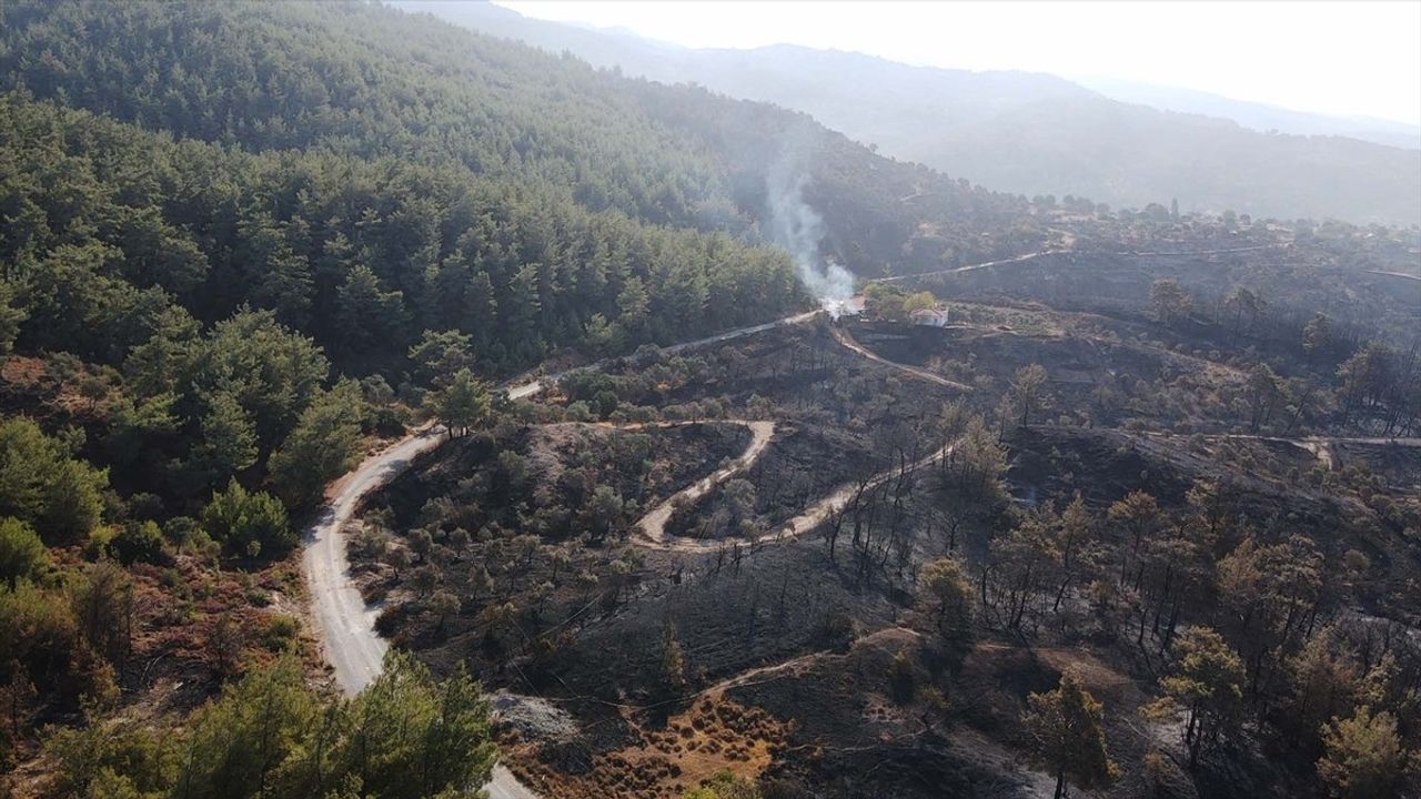 Muğla'nın Milas İlçesinde Orman Yangını Kontrol Altına Alındı