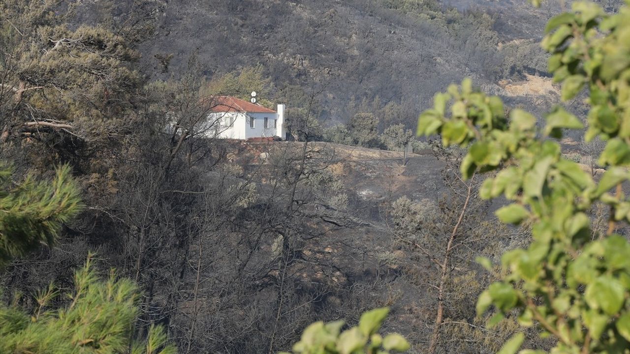 Muğla'nın Milas İlçesinde Orman Yangınına Hızlı Müdahale