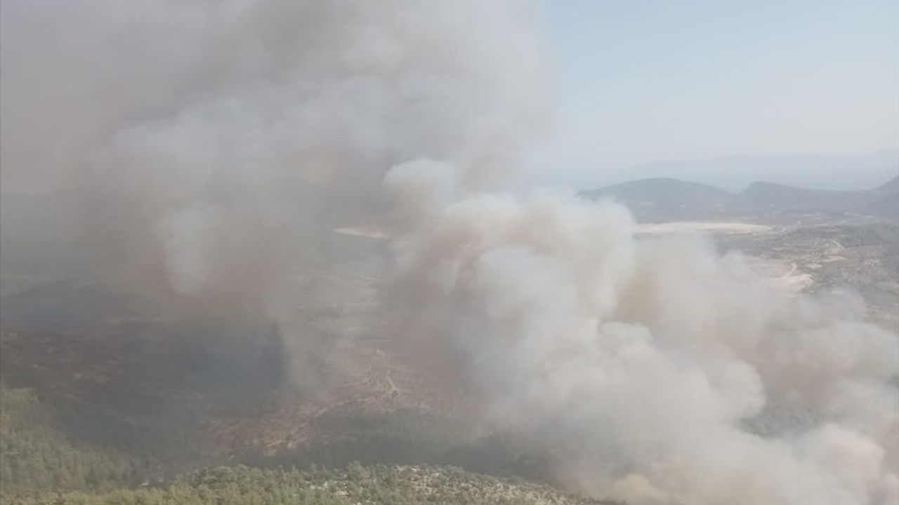 Muğla'nın Milas İlçesinde Orman Yangınına Müdahale