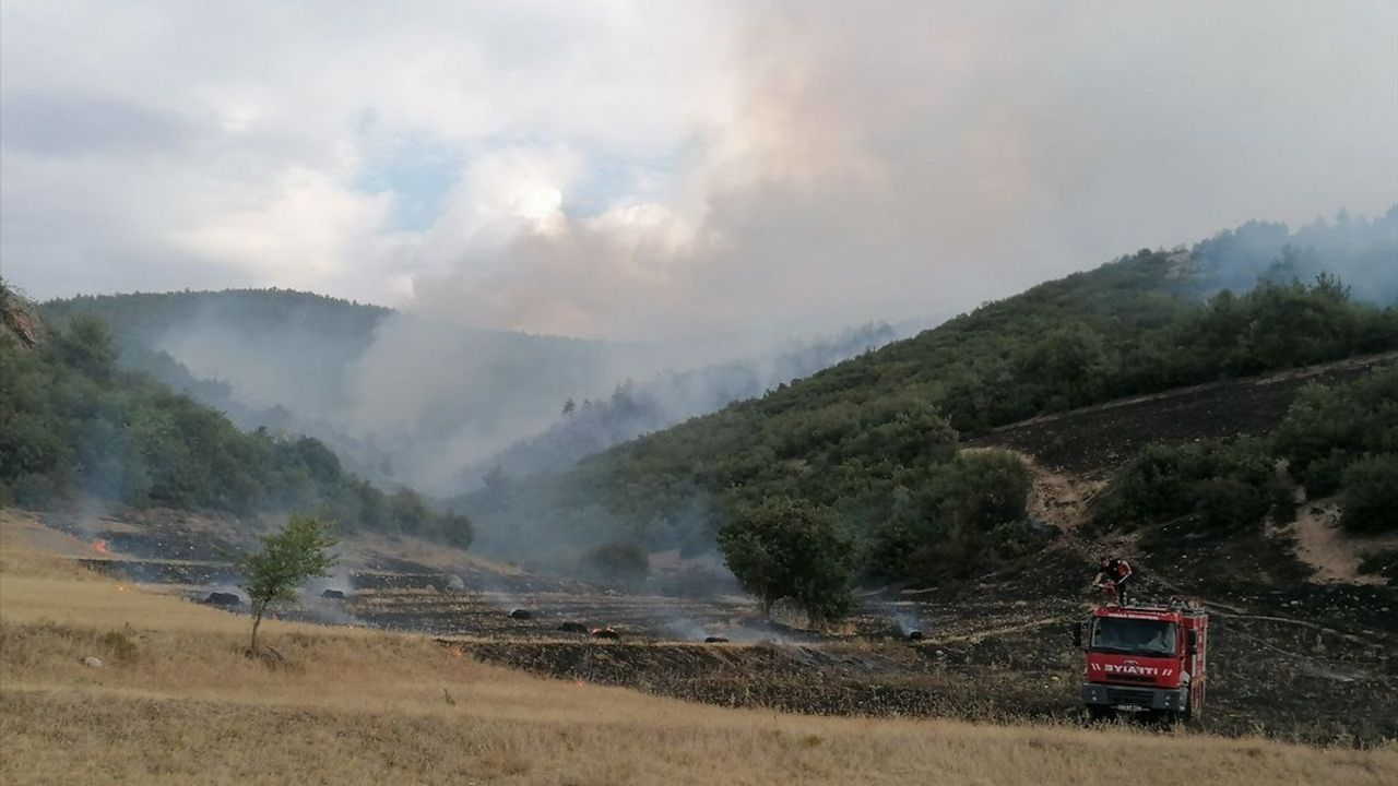 Tokat'ta Orman Yangınına Hızlı Müdahale