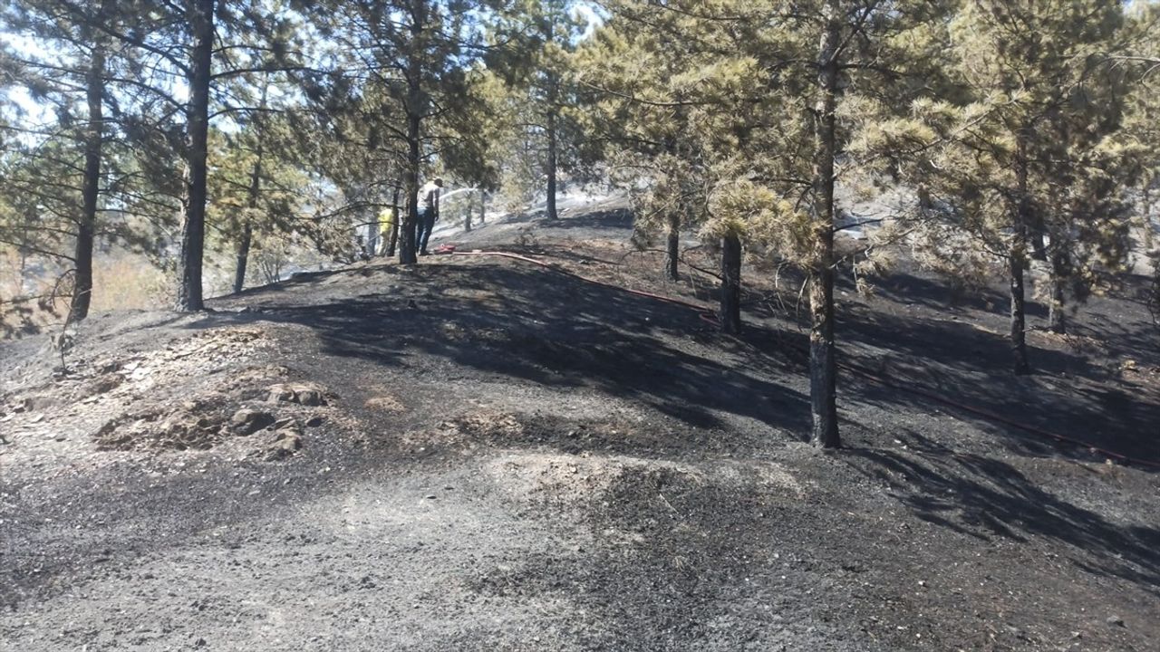 Tokat'taki Orman Yangını Kontrol Altına Alındı