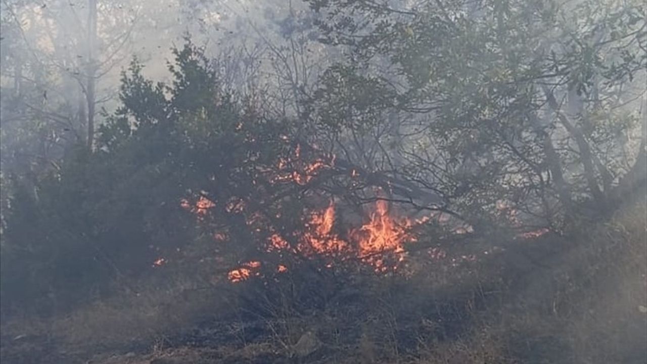 Tunceli'de Orman Yangını: Müdahale Devam Ediyor