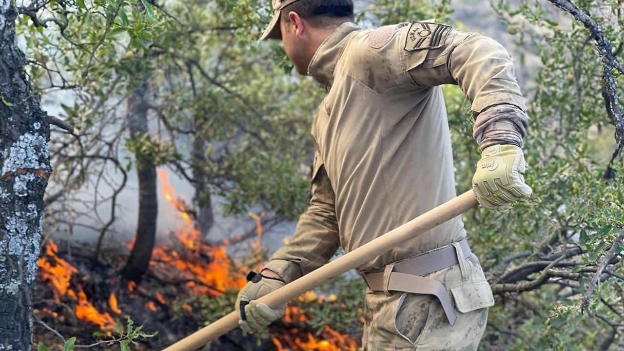 Tunceli'de Orman Yangınına Havadan Destek