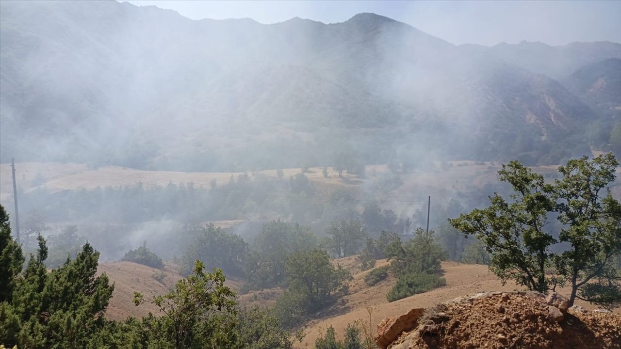 Tunceli'de Orman Yangınına Müdahale Başlatıldı