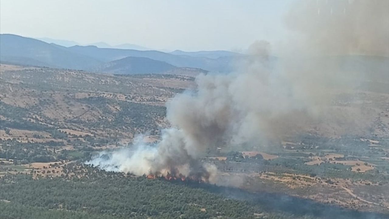 Yunusemre'de Orman Yangınlarına Hızla Müdahale