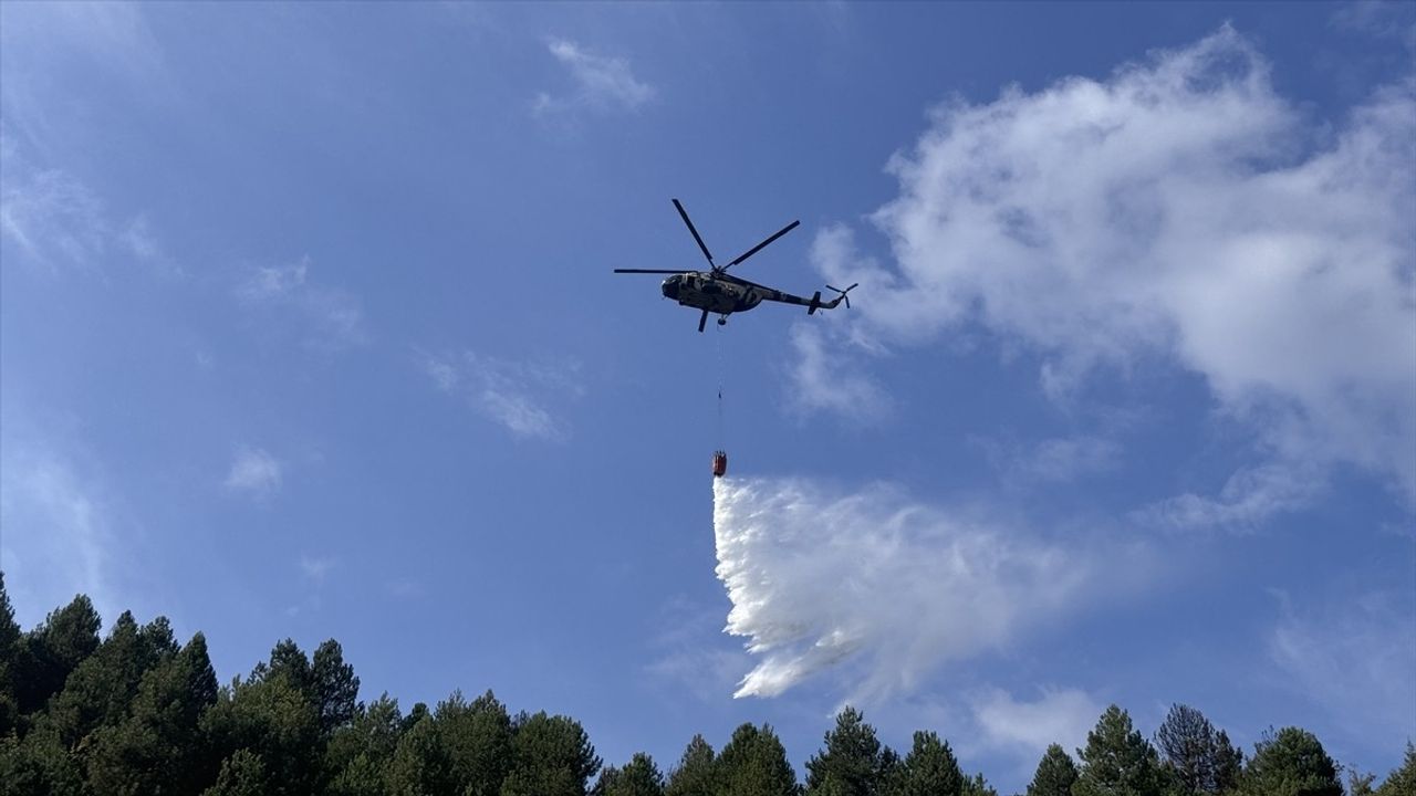 Zonguldak'taki Orman Yangını Kontrol Altına Alındı