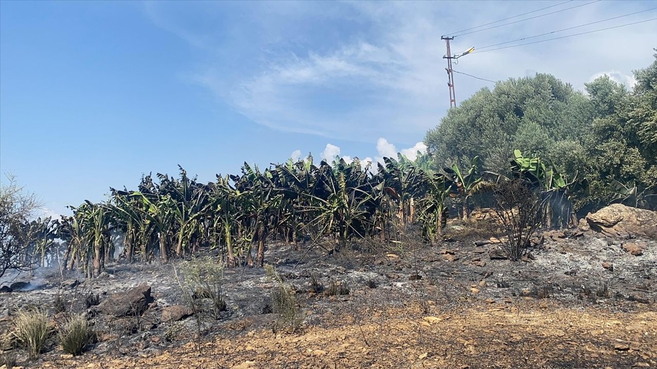 Antalya'da Yangın Paniği: Okul Öğrencileri Tahliye Edildi