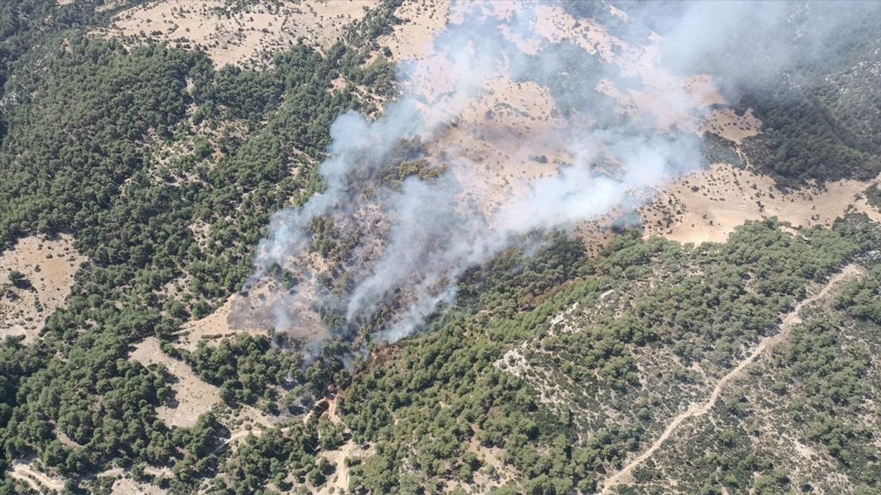 Antalya'nın Kaş İlçesinde Orman Yangını: Müdahaleler Başladı