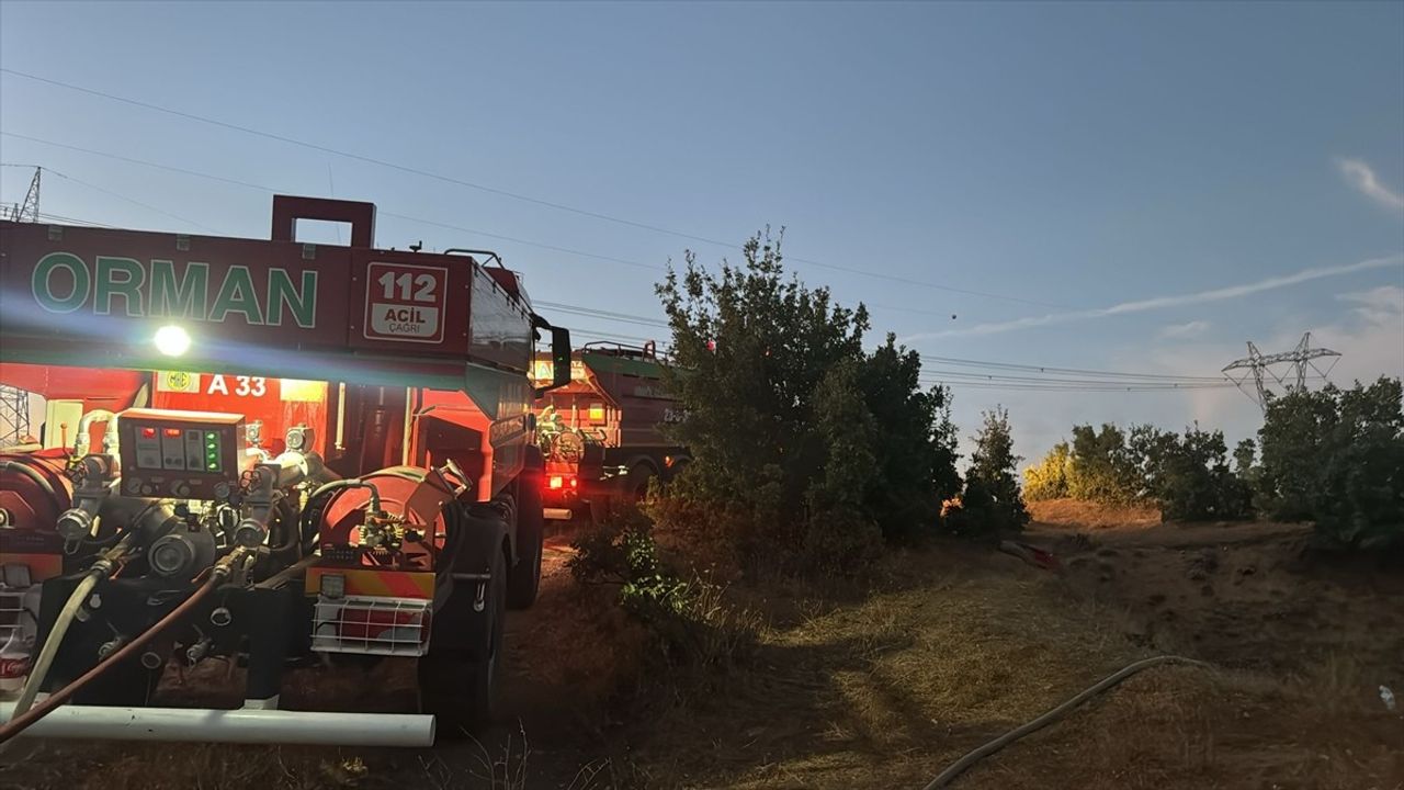 Bingöl'ün Genç İlçesinde Orman Yangını Kontrol Altında