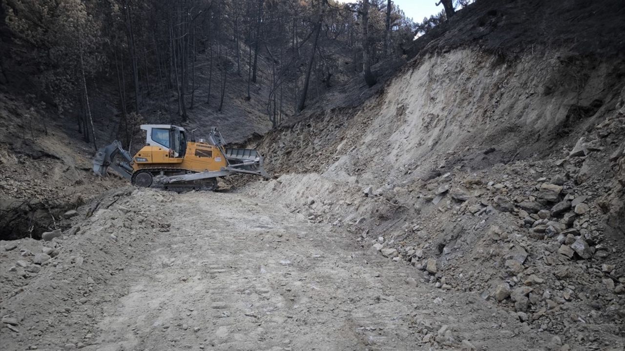 Bolu Göynük'te Orman Yangınından Zarar Gören Alanların Yeniden Ağaçlandırılması Çalışmaları Başladı