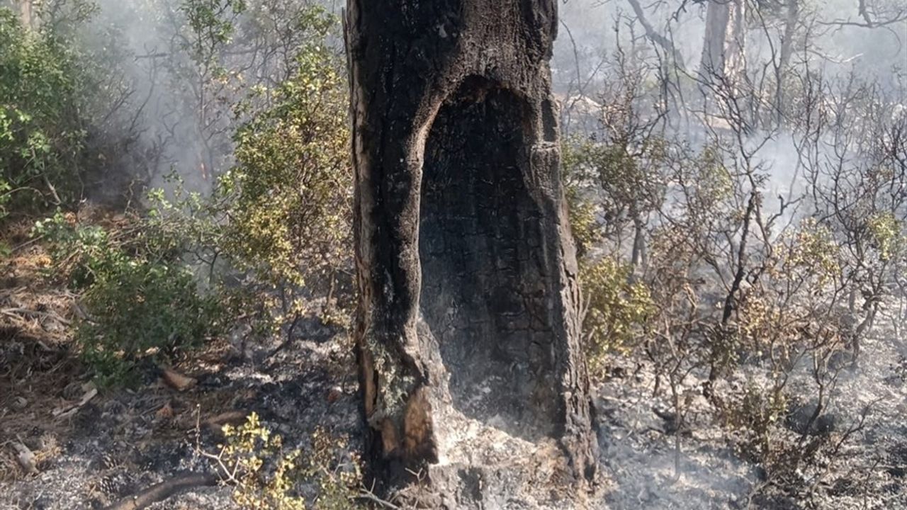 Burdur'da Orman Yangını Kontrol Altına Alındı