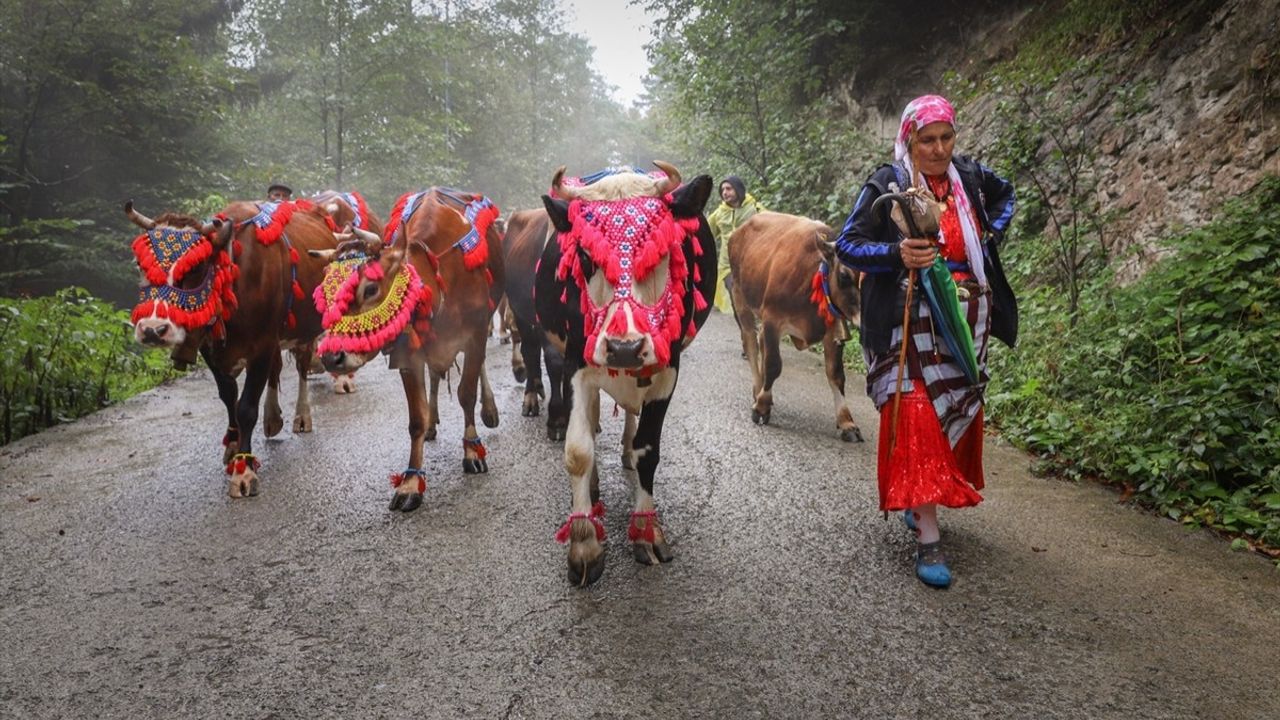 Doğu Karadeniz Yaylalarında Besicilerin Dönüş Yolculuğu Başladı