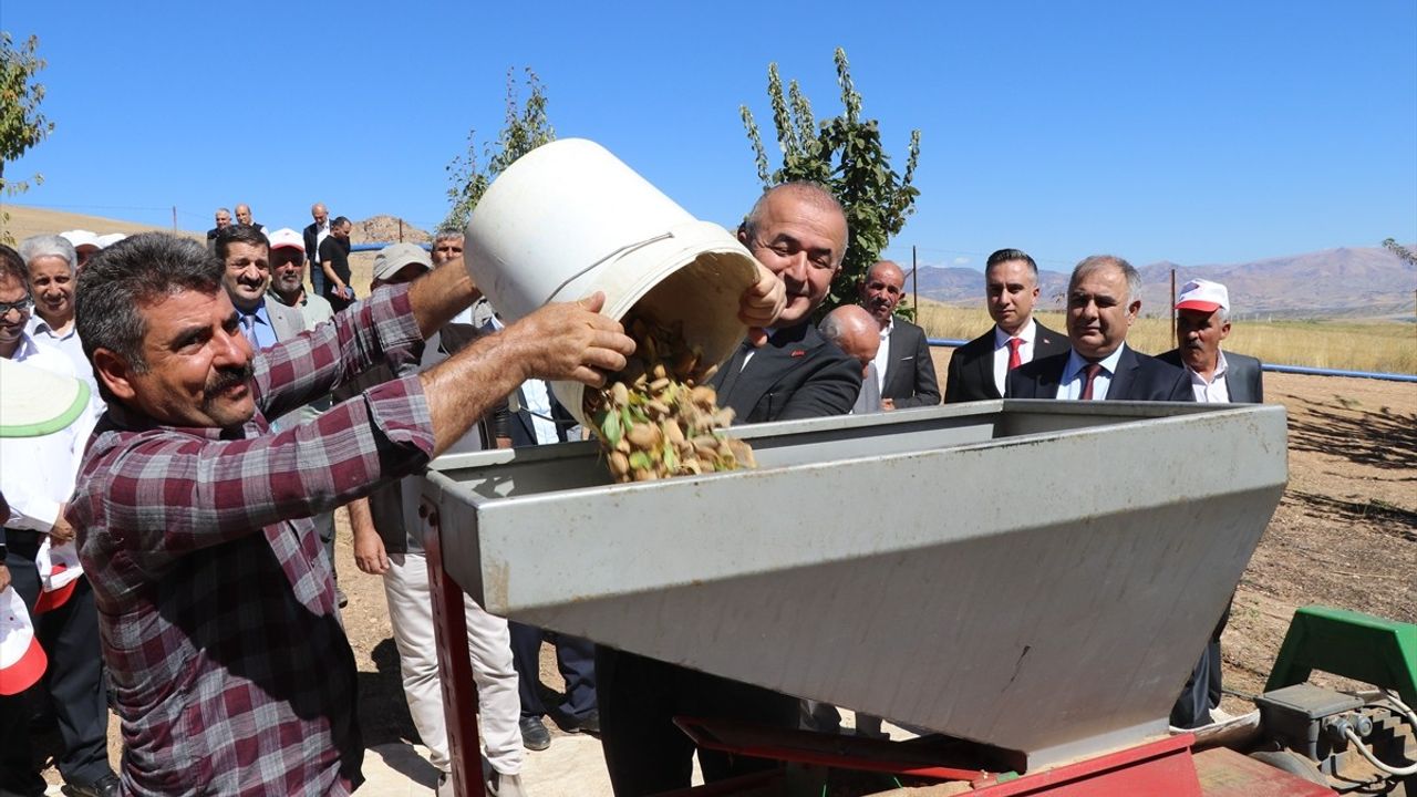 Elazığ'da Badem Hasadı Başladı