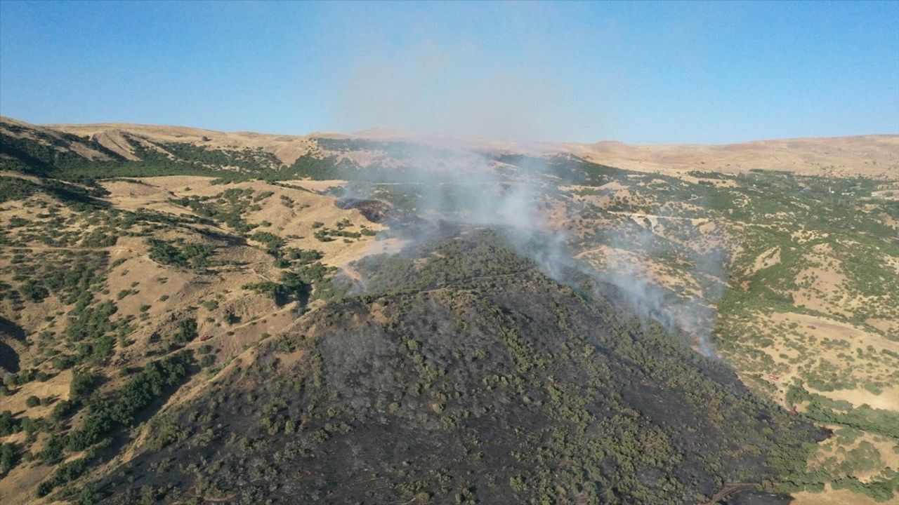 Elazığ'daki Orman Yangını Kontrol Altına Alındı