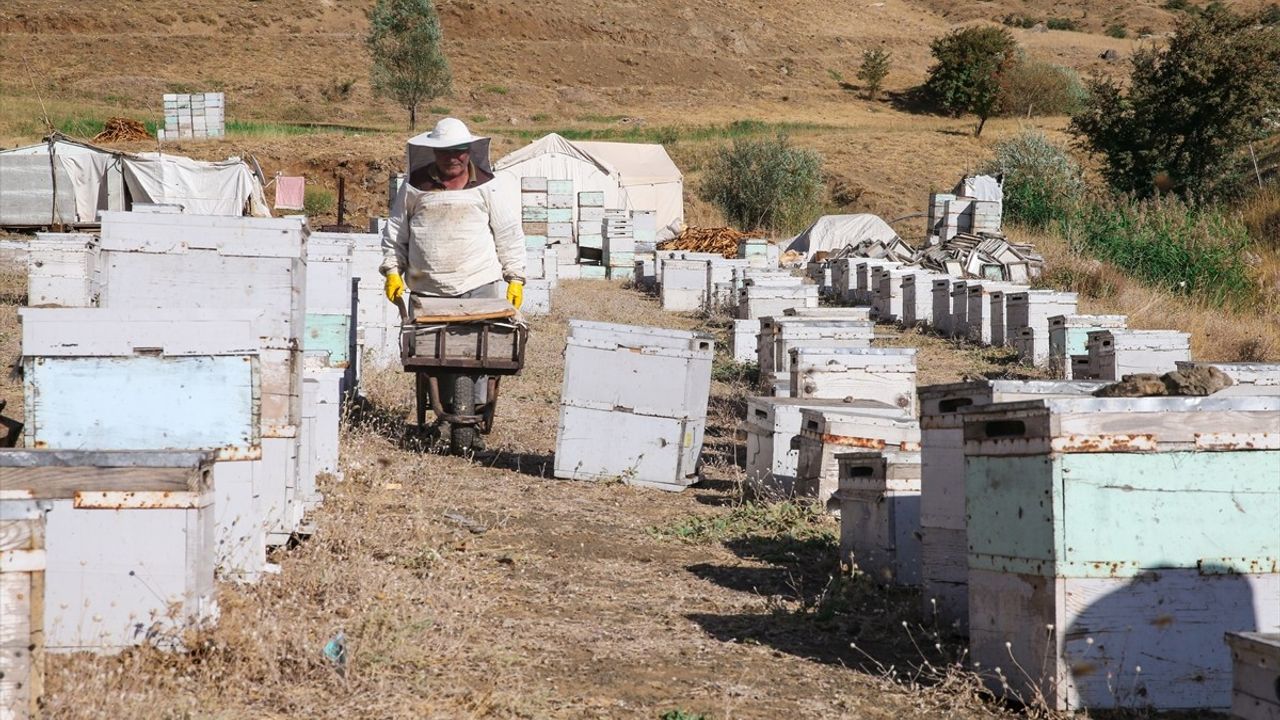 Hakkari Dağlarında En İyi Bal İçin Çalışan Ordulu Arıcılar