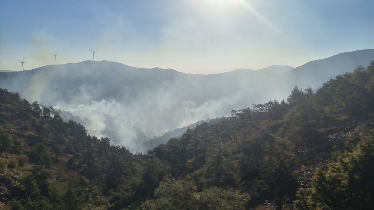 Hatay'daki Orman Yangını Kontrol Altında