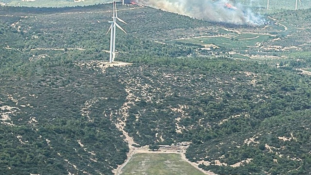 İzmir Urla'da Orman Yangını Kontrol Altında