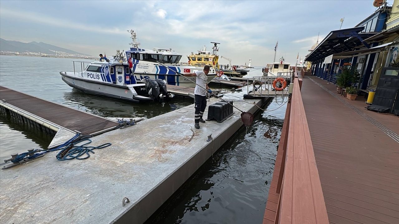 İzmir Körfezi'nde Süregelen Balık Ölümleri