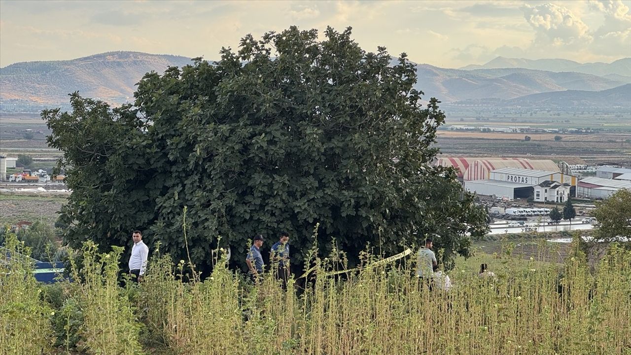 Kahramanmaraş'ta Yıldırım Çobana Hayatını Kaybettirdi