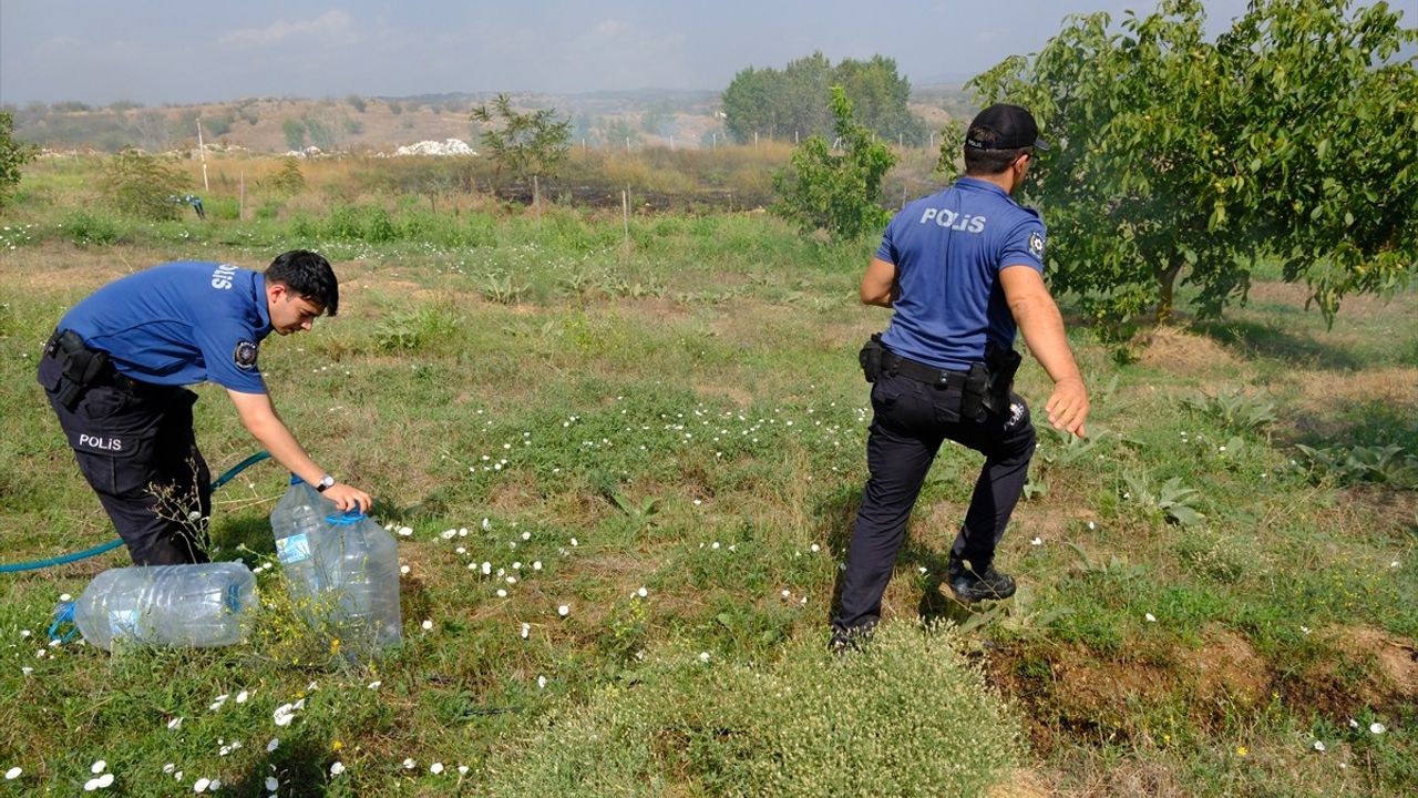 Kırklareli'nde Anız Yangını Kontrol Altına Alındı