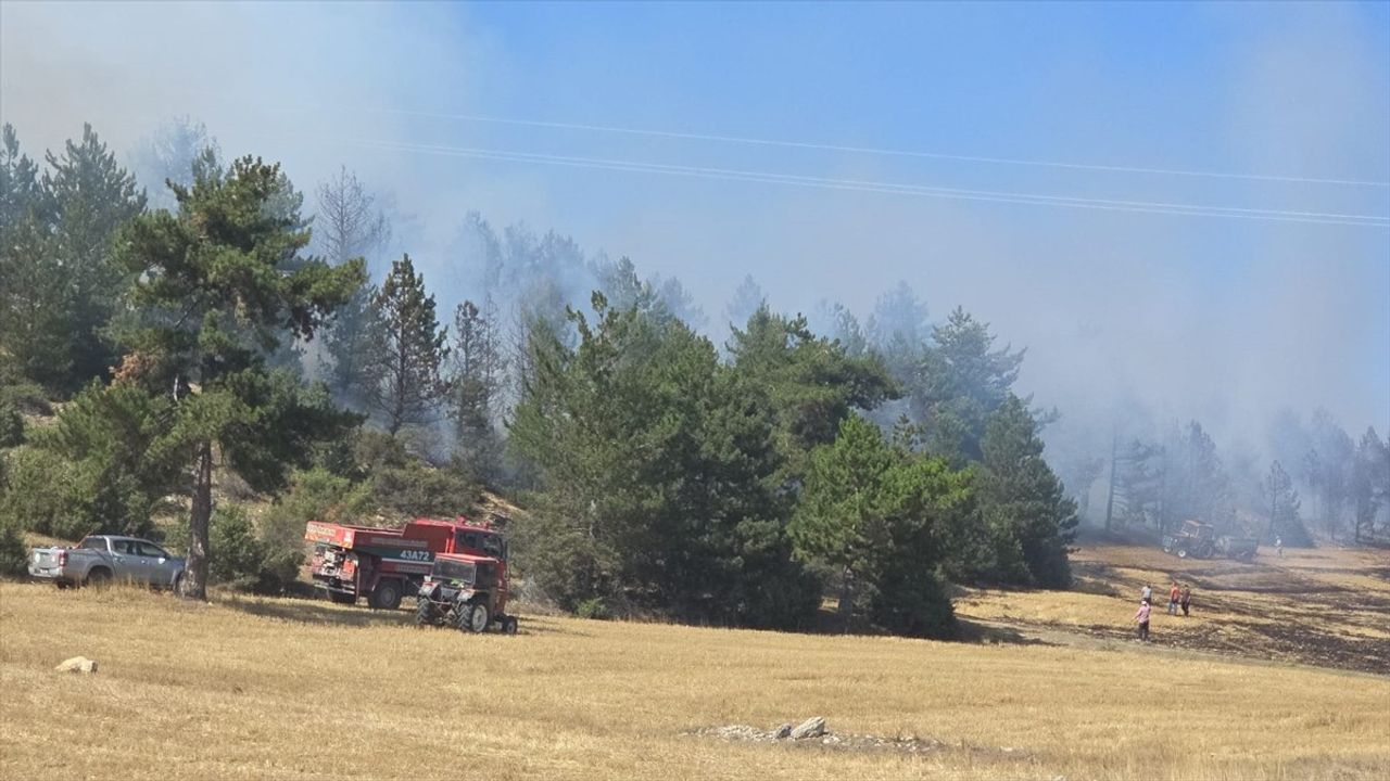 Kütahya'daki Anız Yangını Ormanlık Alana Sıçradı