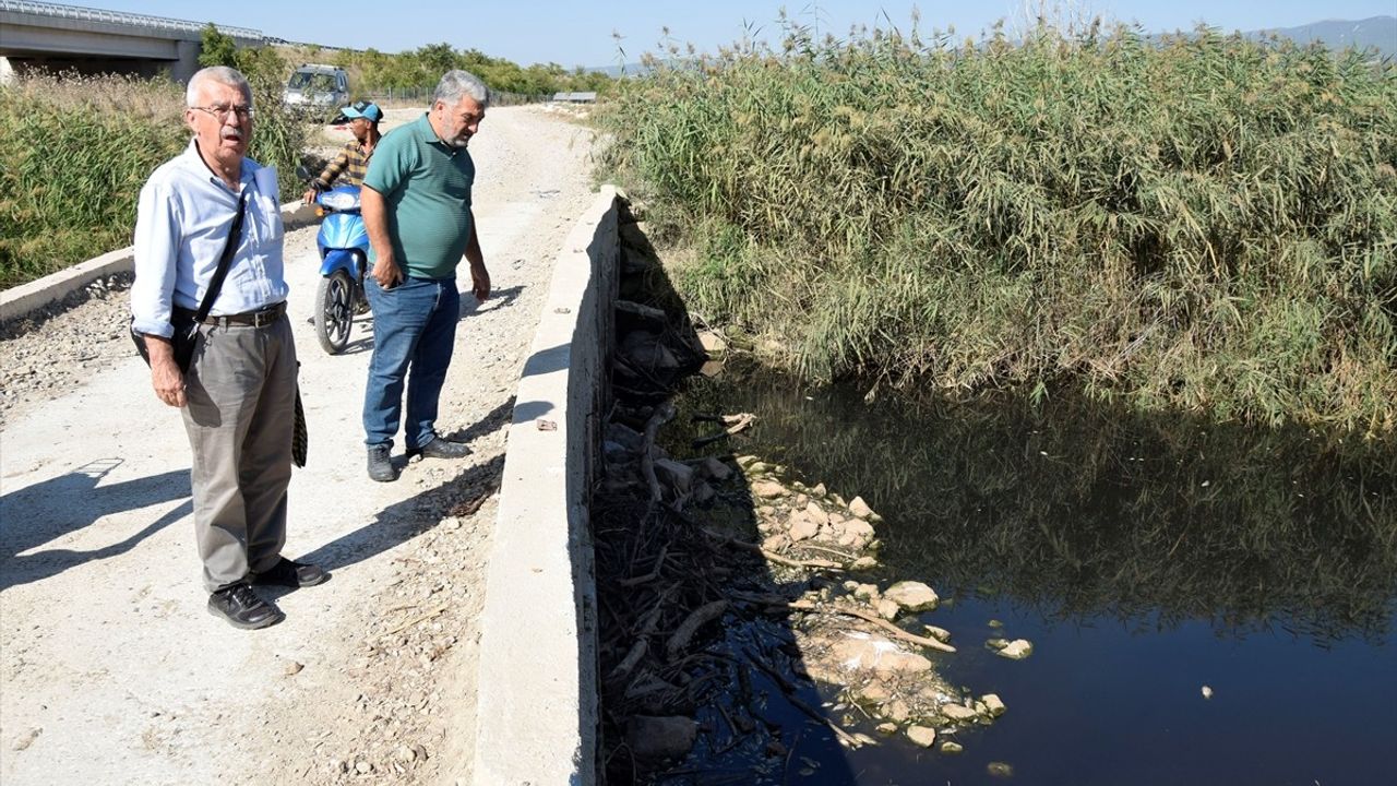 Manisa'da Gediz Nehri'nde Balık Ölümleri İnceleniyor