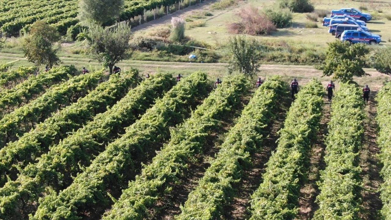 Manisa'da Silahlı Kavga Sonucu Bir Çiftçi Hayatını Kaybetti