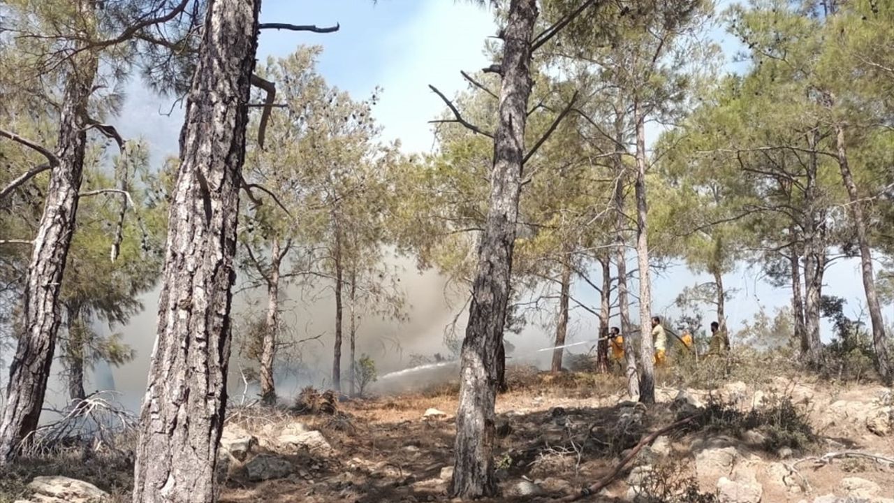 Mersin Gülnar'daki Orman Yangını Kontrol Altında