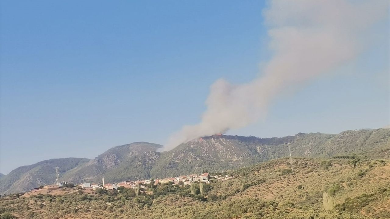 Milas'taki Orman Yangınına Müdahale Başladı