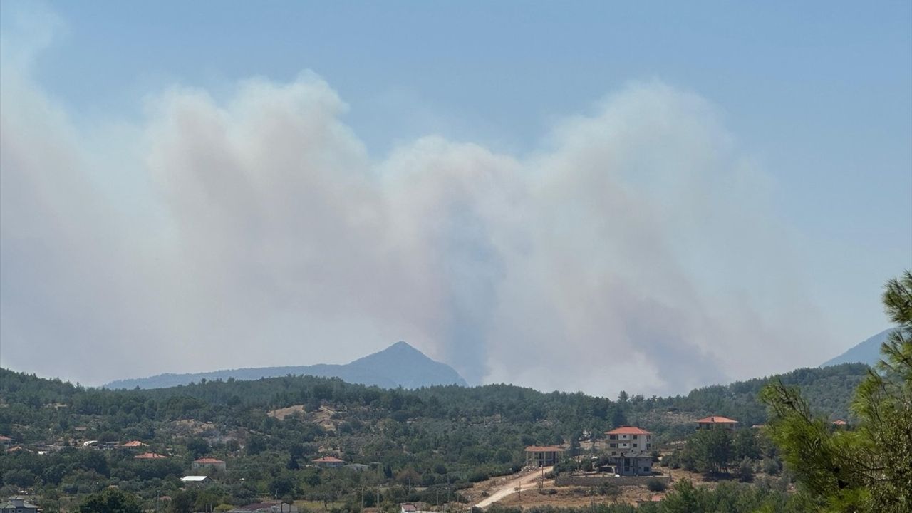 Muğla'da Orman Yangınına Hızla Müdahale Ediliyor