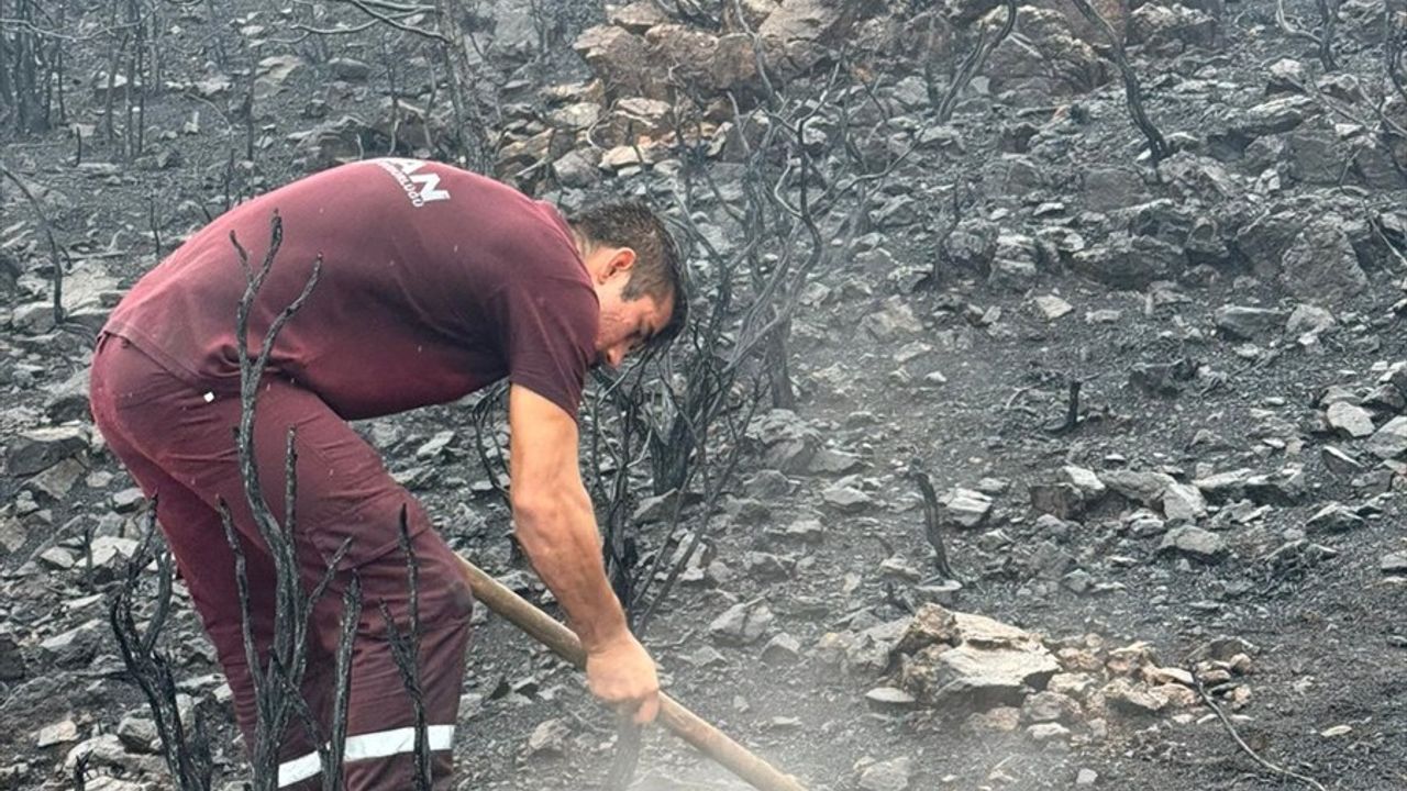 Muğla'da Yıldırım Düşmesi Sonucu 50 Noktada Orman Yangını