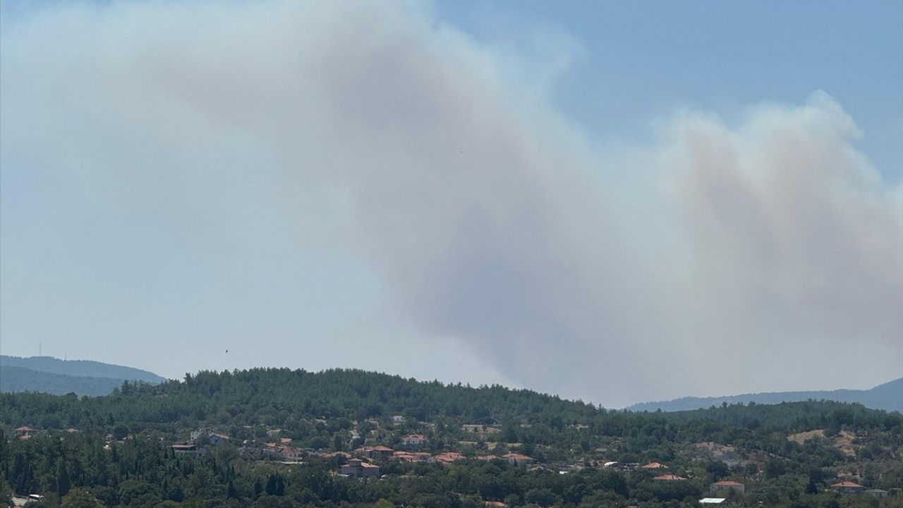 Muğla'daki Orman Yangınına Hızla Müdahale