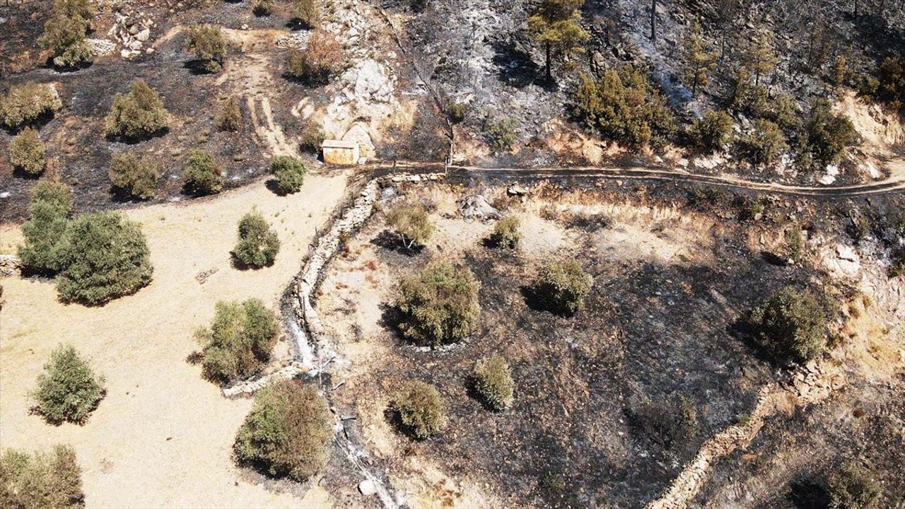 Muğla'daki Orman Yangınına Müdahale Devam Ediyor