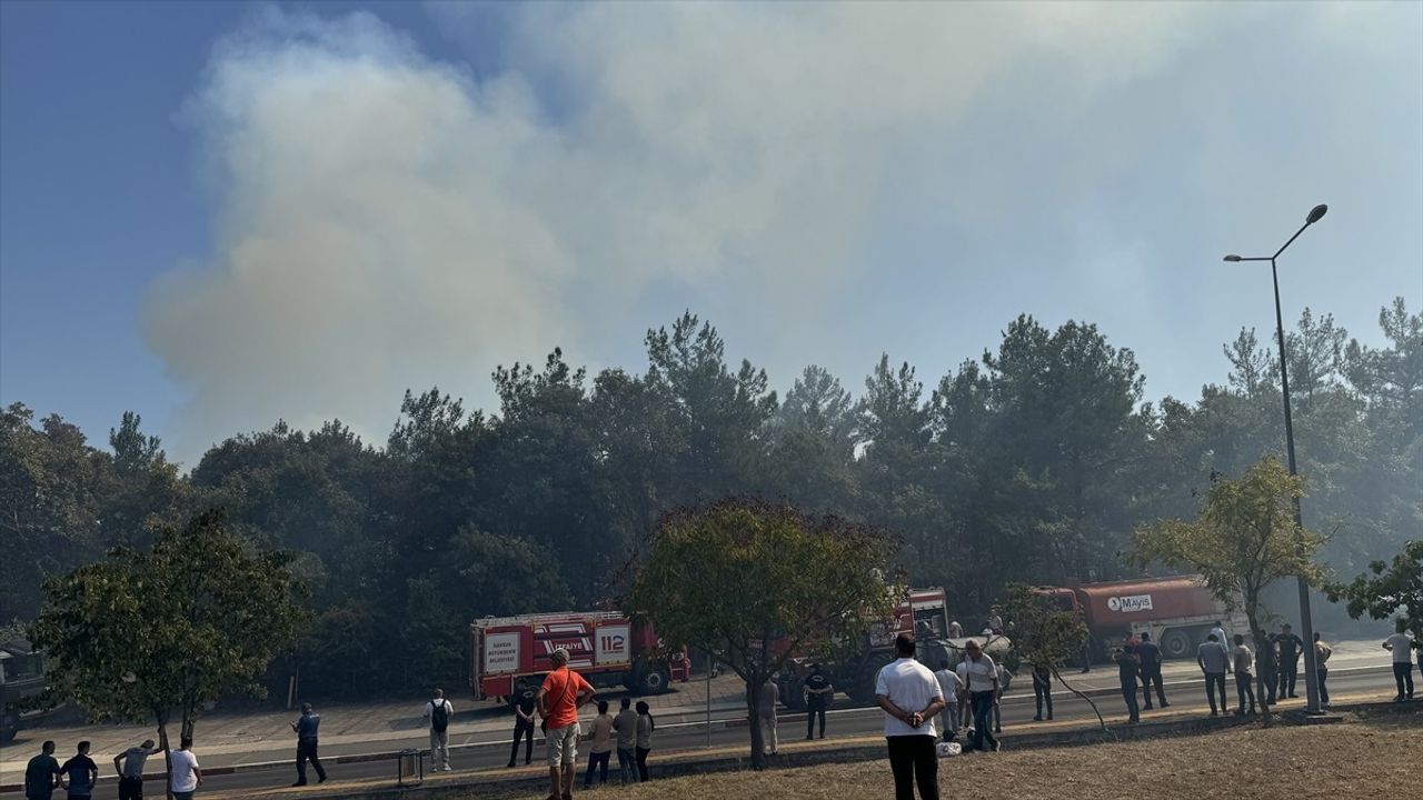 Ondokuz Mayıs Üniversitesi'nde Orman Yangınına Müdahale