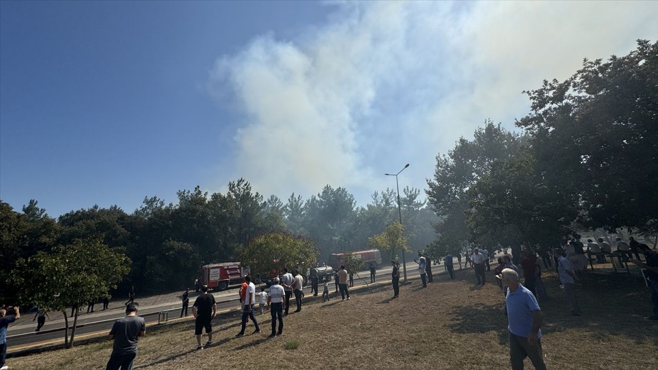 Ondokuz Mayıs Üniversitesi'nde Yangın Kontrol Altına Alındı